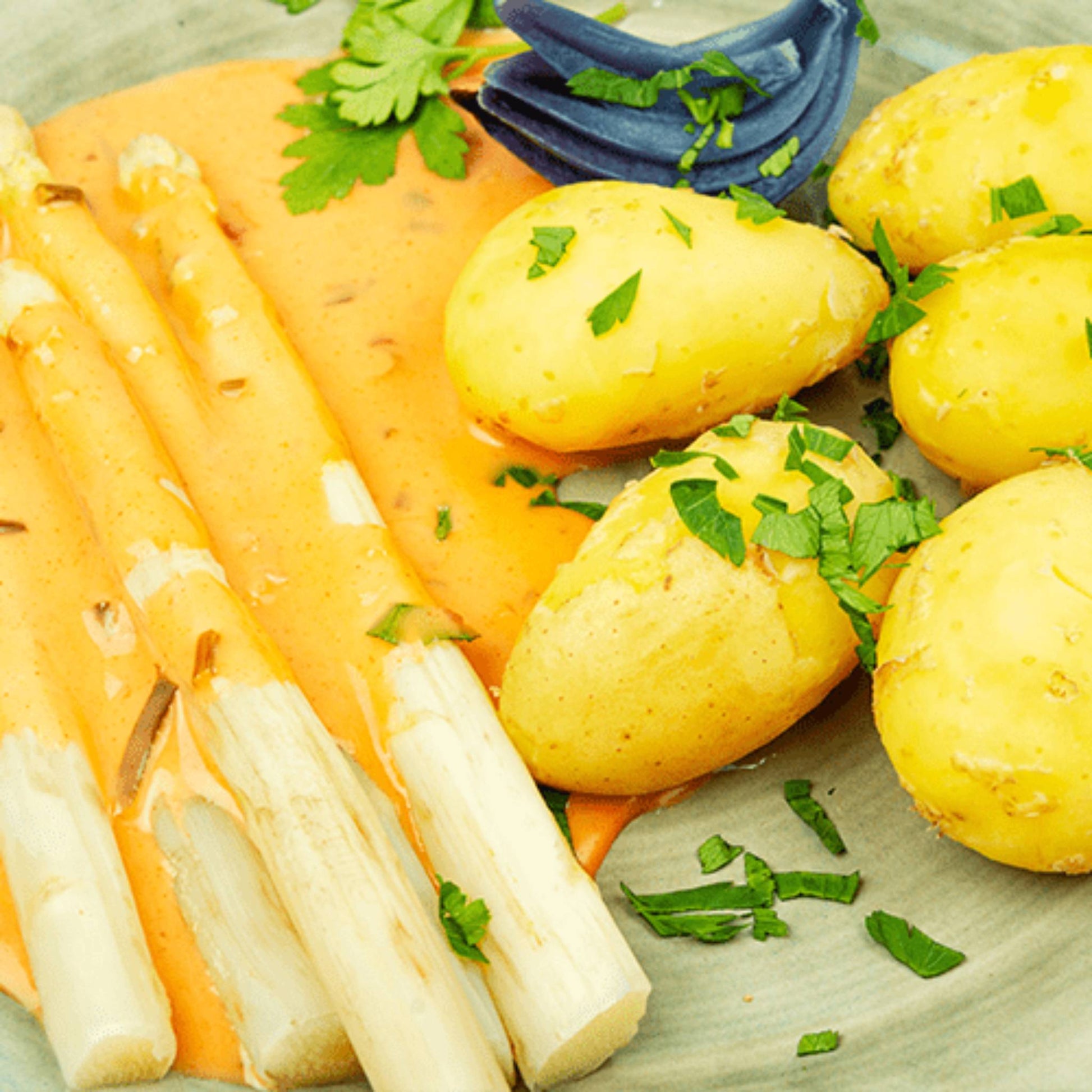 sauce hollandaise aufbewahren Sauce Hollandaise idiotensicher – Mit 18% Butterpulver